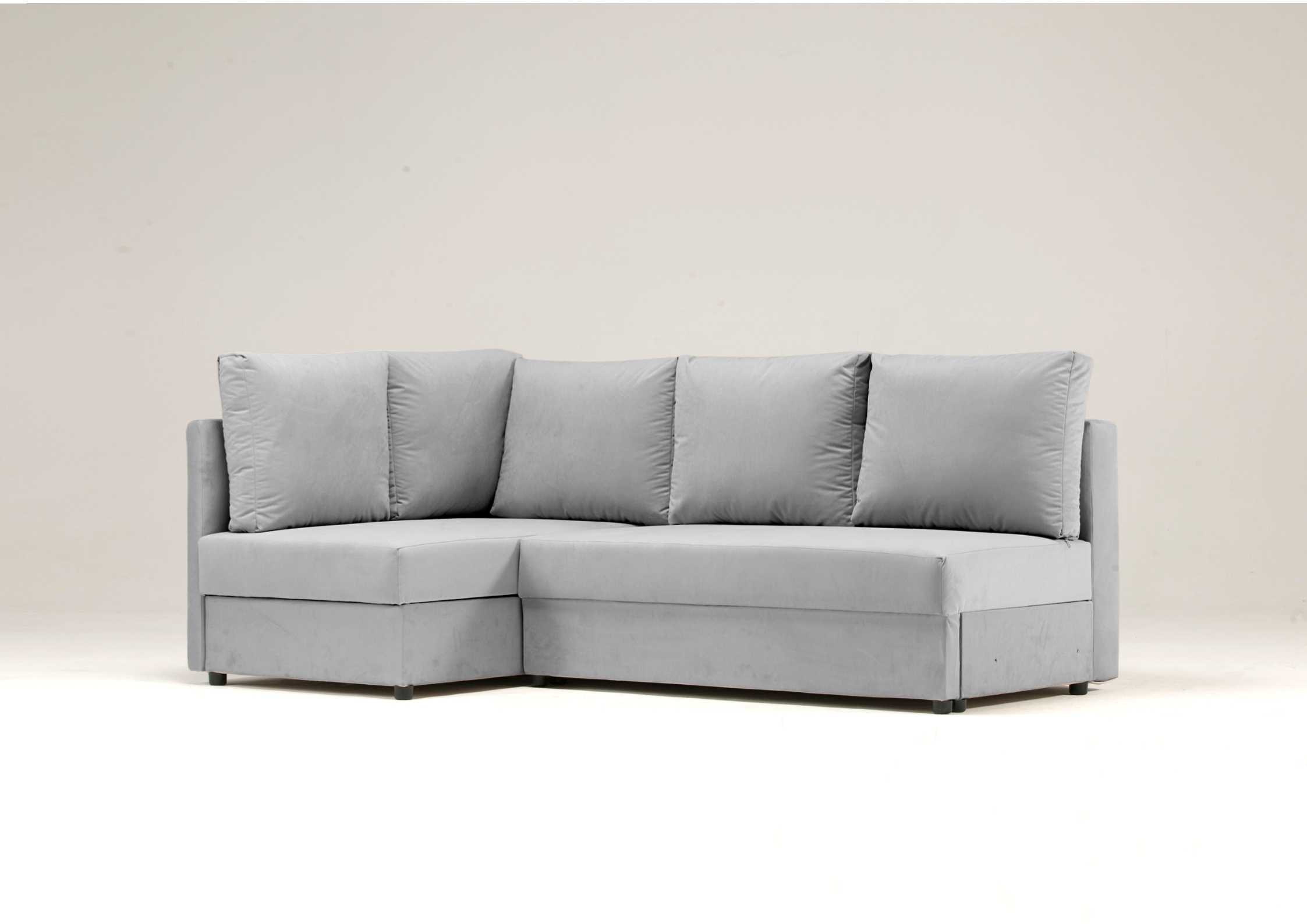 Klasyczna rogówka szara